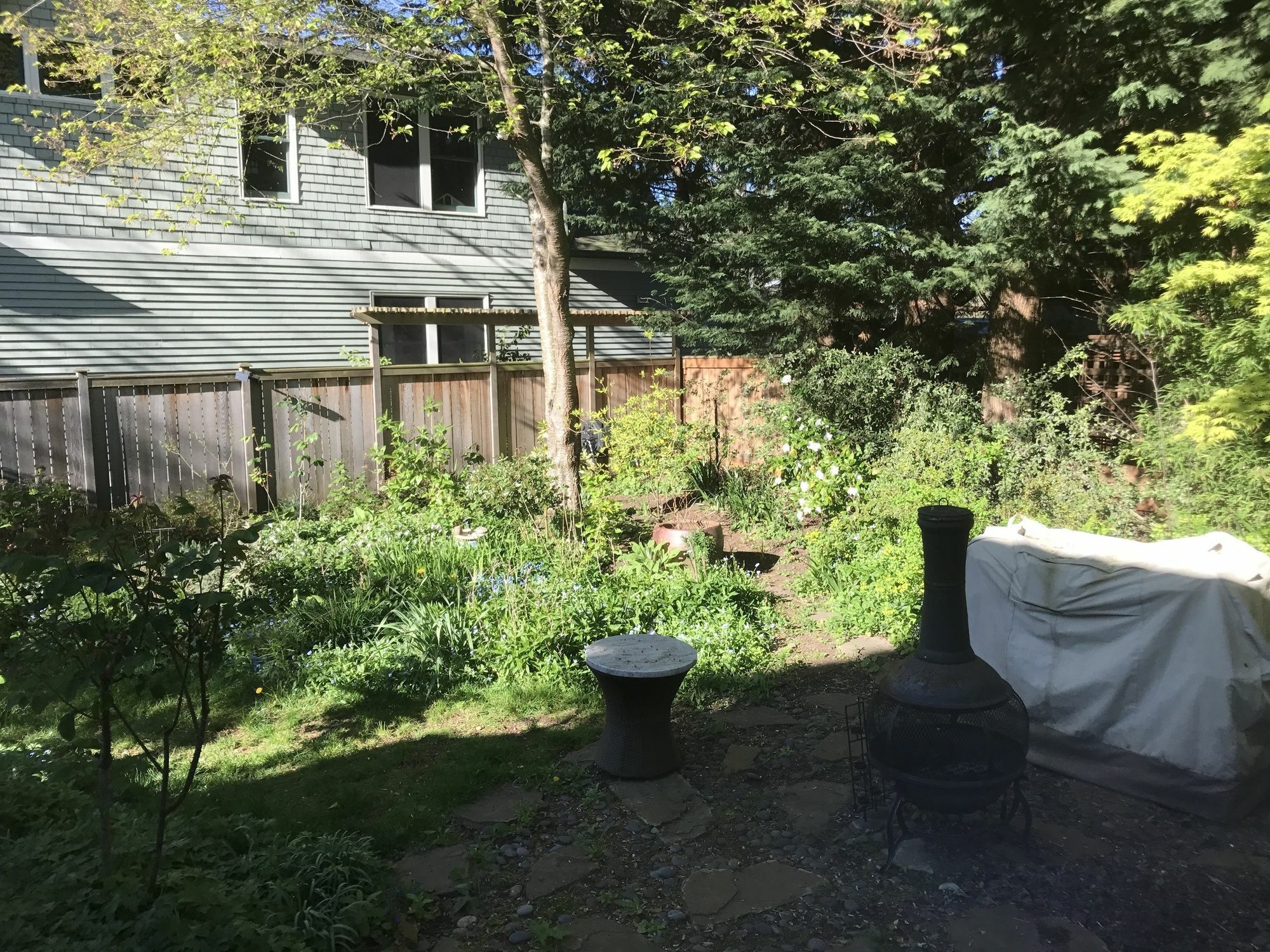 Apartment Zen Retreat - Private - Very Unique Seattle