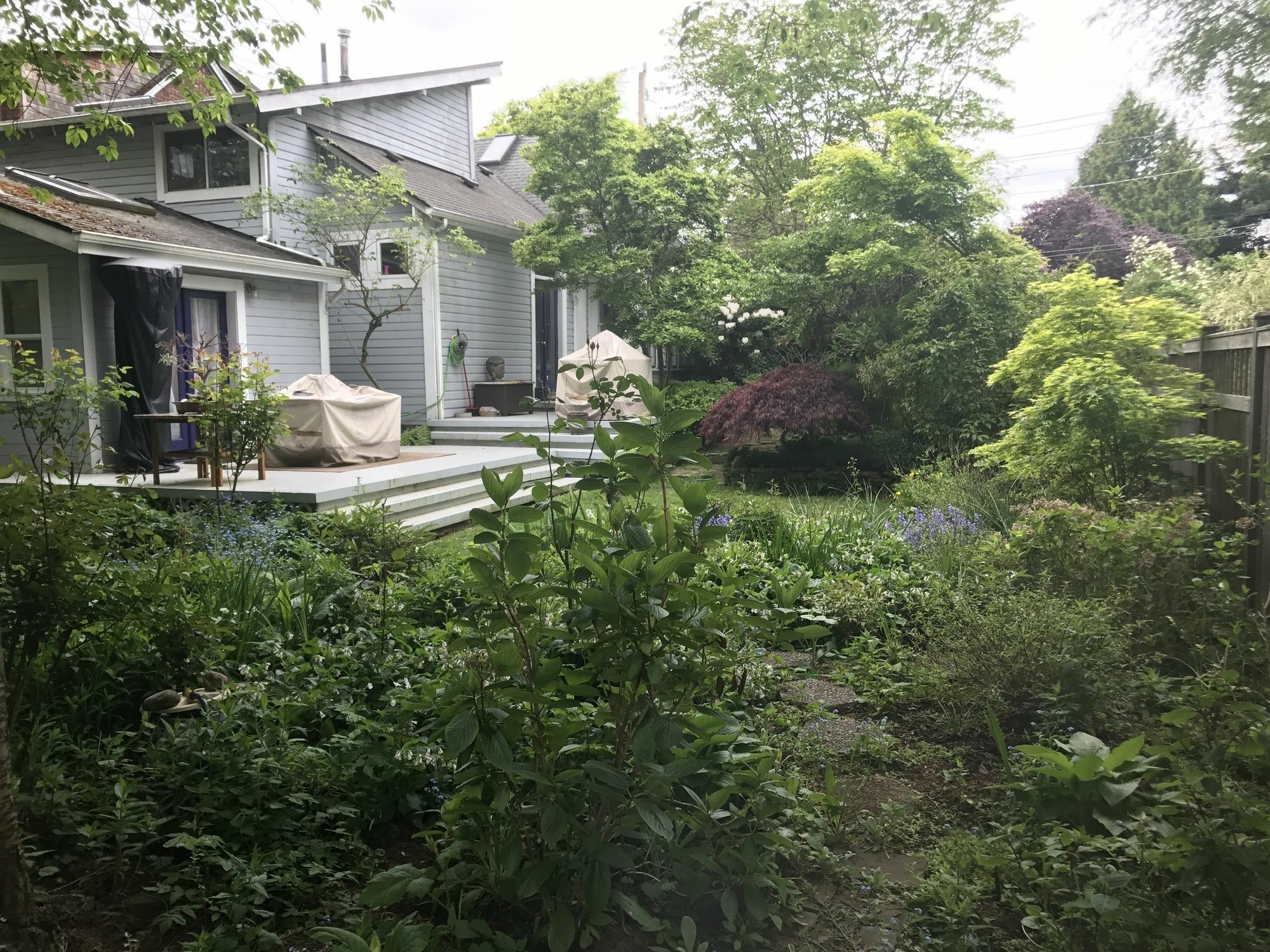 Zen Retreat - Private - Very Unique Apartment Seattle