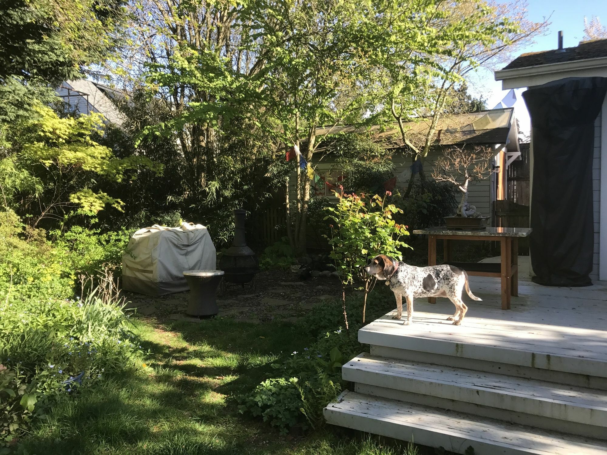 Zen Retreat - Private - Very Unique *